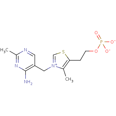 thiamine monophosphate