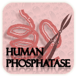 Browse human phosphatases