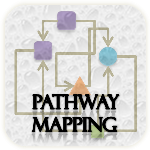 Browse pathways involving human phosphatases and their substrates