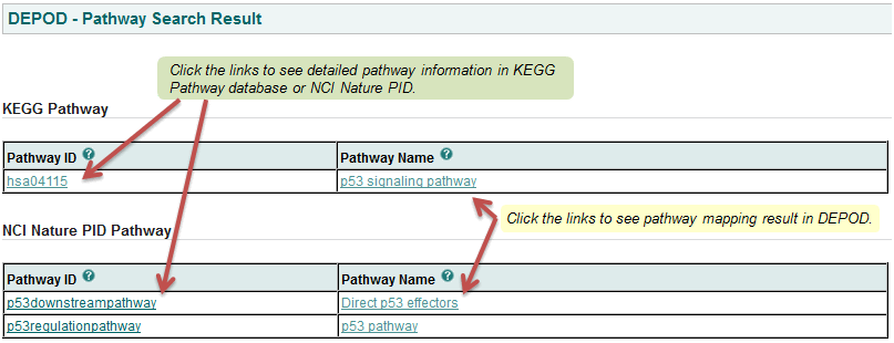 pathway search result